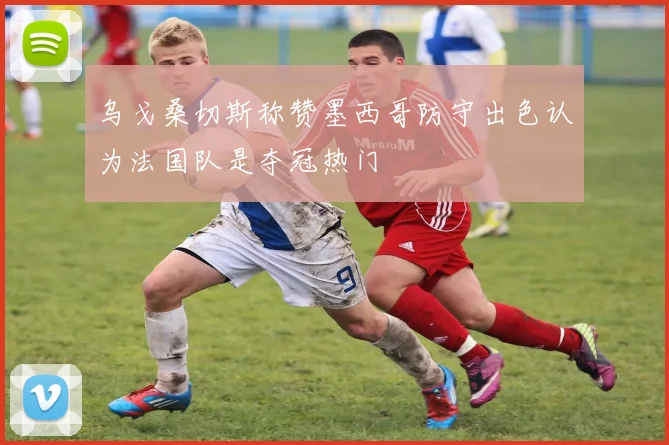 乌戈桑切斯称赞墨西哥防守出色认为法国队是夺冠热门